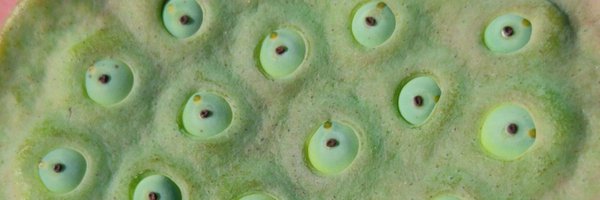 sochikral Profile Banner