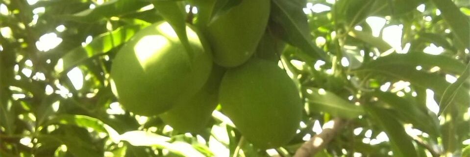 M_alkahree's profile banner image