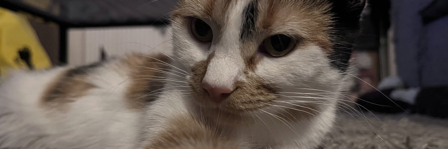jadeemileh's profile banner image