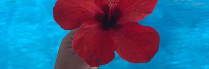 Secil_Capultas's profile banner image