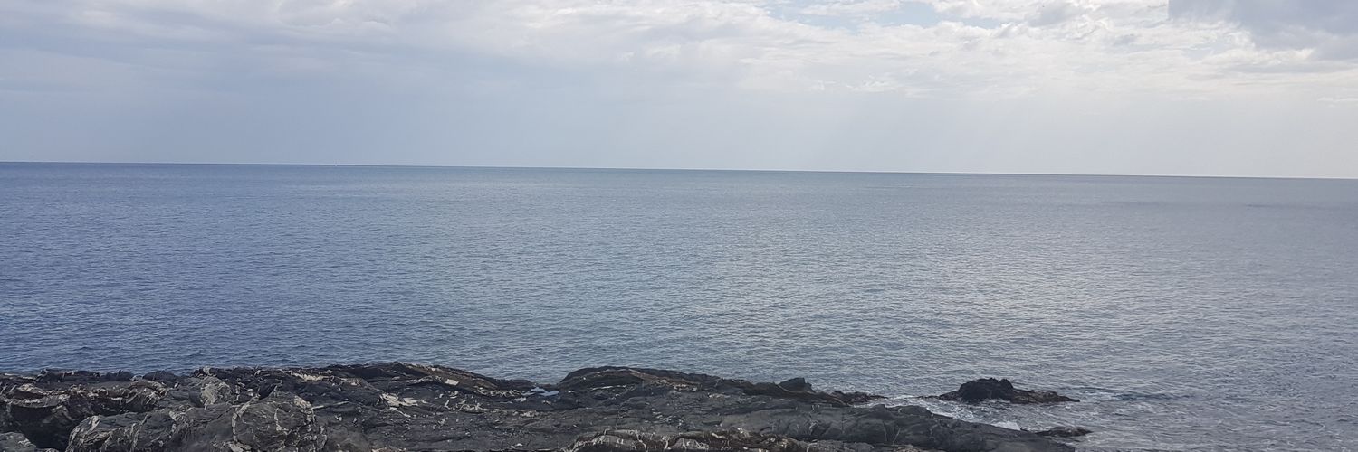 Faithrys's profile banner image