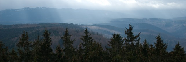 InjunuityInjun's profile banner image