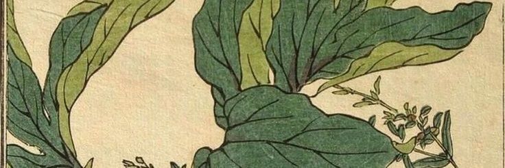 deku_se's profile banner image