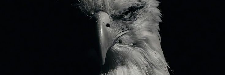 ratko banner