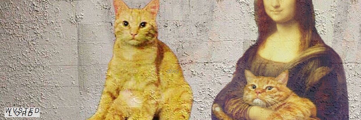 samoongom's profile banner image