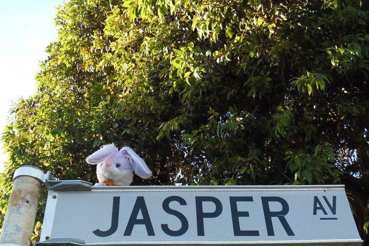 Jasper Witte banner