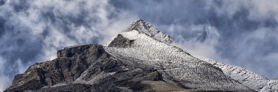 marco cicchelli banner
