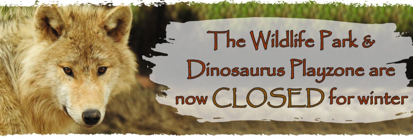 wilddinopark's profile banner image