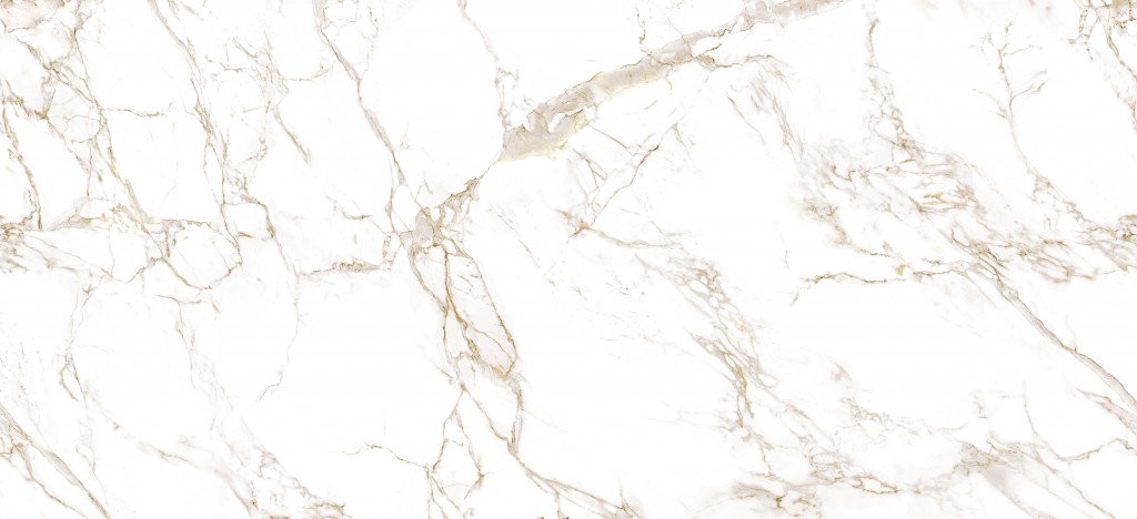 MelissaGrrts's profile banner image