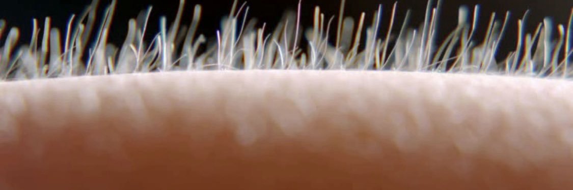 iain_harrison's profile banner image