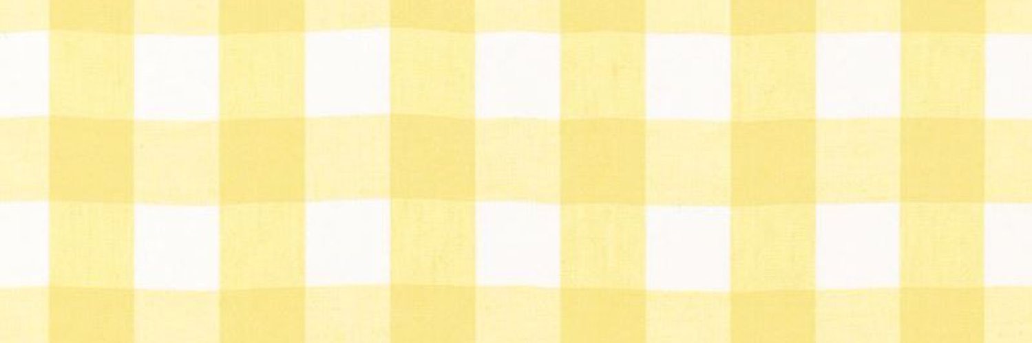 lem banner