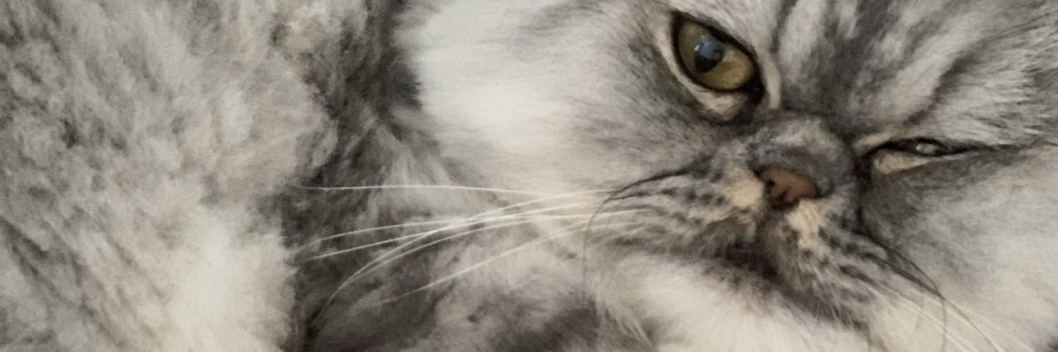orhanmerce's profile banner image