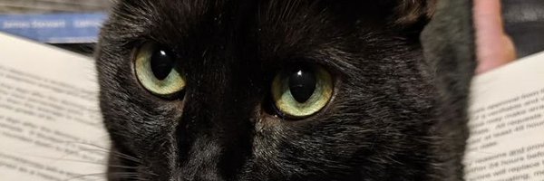 rsevise Profile Banner