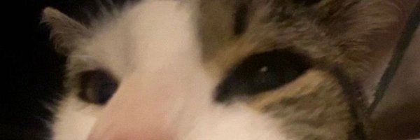 skipdidoo Profile Banner