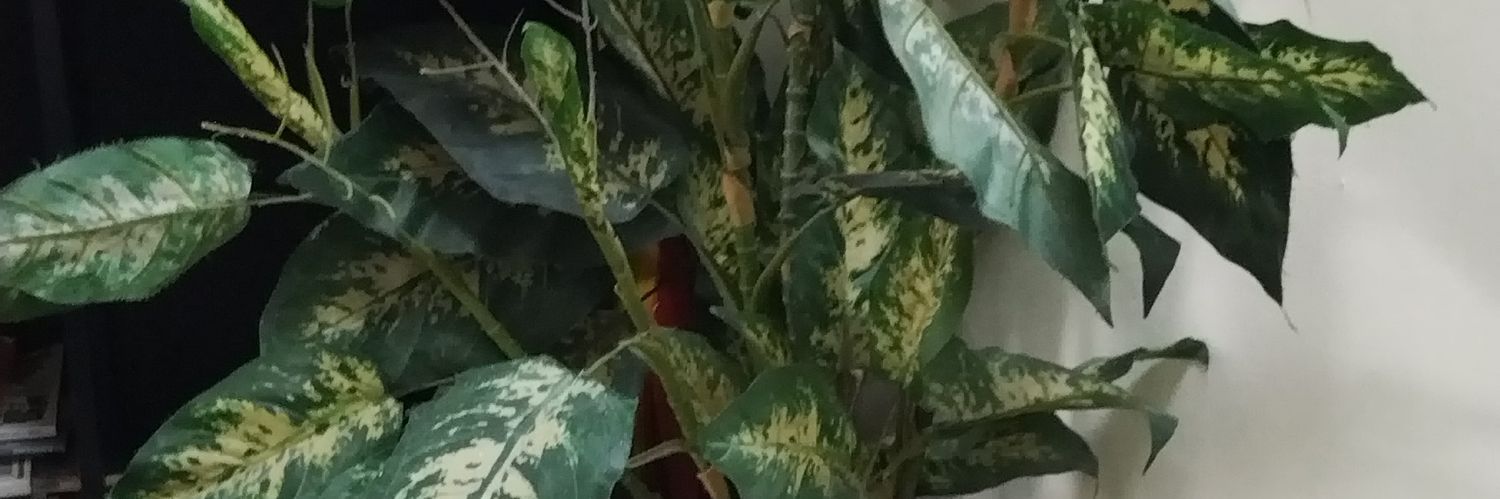 marklimgam's profile banner image