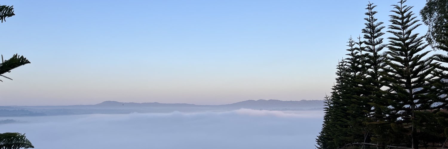 𝓜𝓮𝓵𝓸𝓭𝔂 ᡣ𐭩 banner