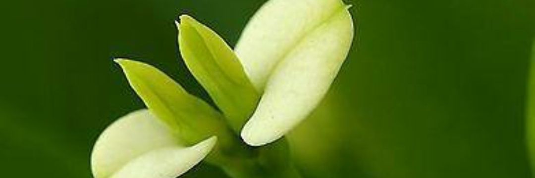 metinselekoglu's profile banner image