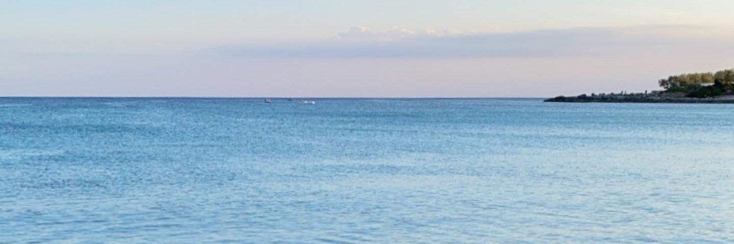 FranciBig's profile banner image