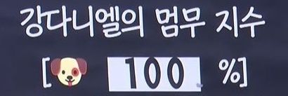 띠니 banner