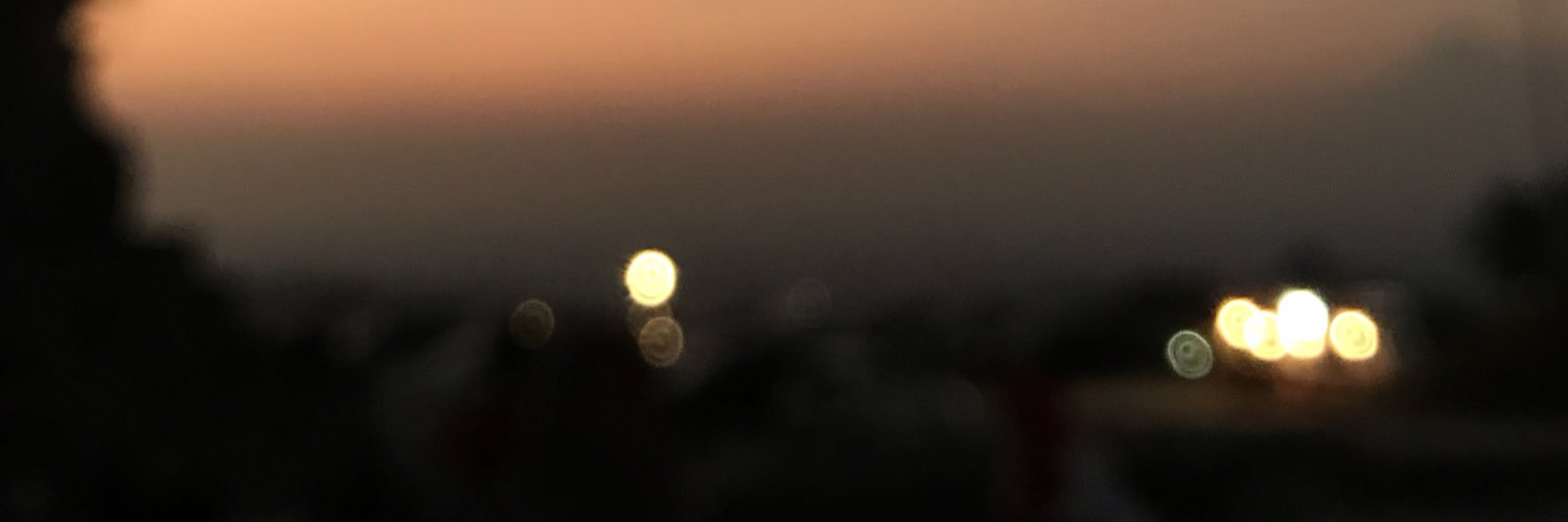 widiasalwa_'s profile banner image