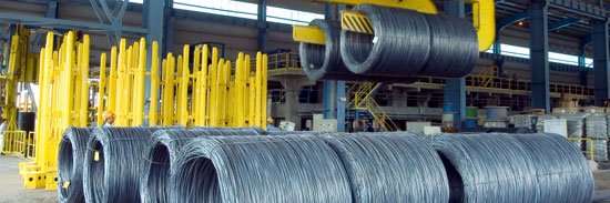 Hoàng Trần banner