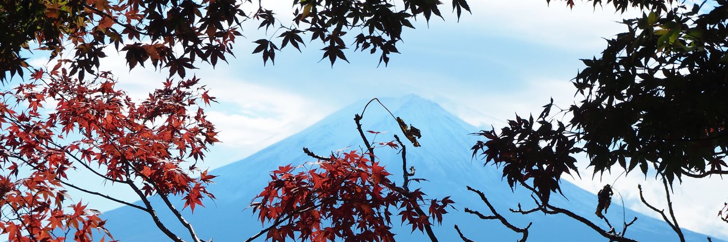 voravana's profile banner image