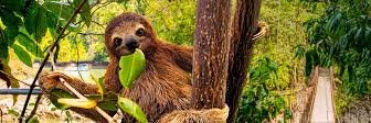 CarlossCentenoo's profile banner image