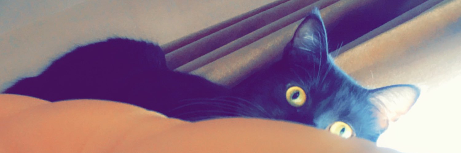 bashayeralw's profile banner image