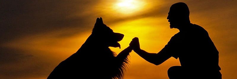 SEVGİ & MERHAMET banner