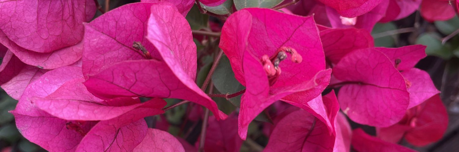 Krystle Marvèl banner