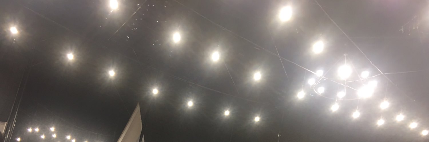 dianasaridr's profile banner image