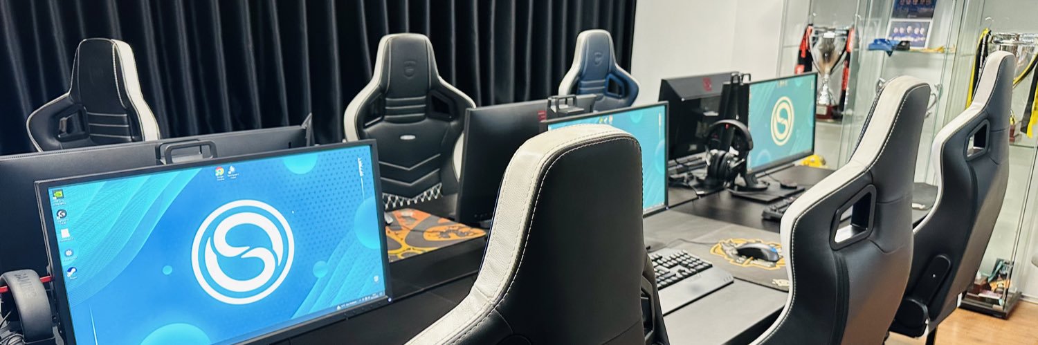 OFFSET Esports banner