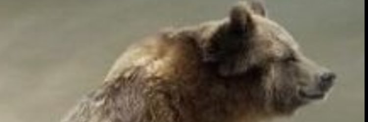 rad374582's profile banner image