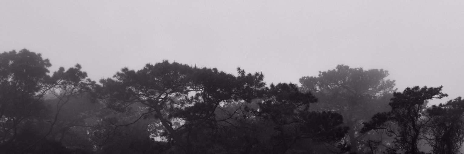 Nice Marmot PR banner