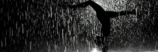 BailaEnTormenta's profile banner image