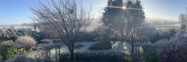 ColinOnBass Profile Banner