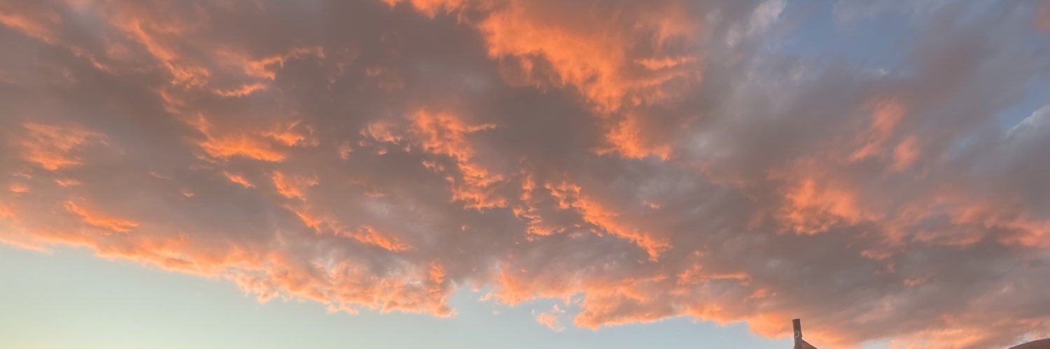 marleneocean's profile banner image