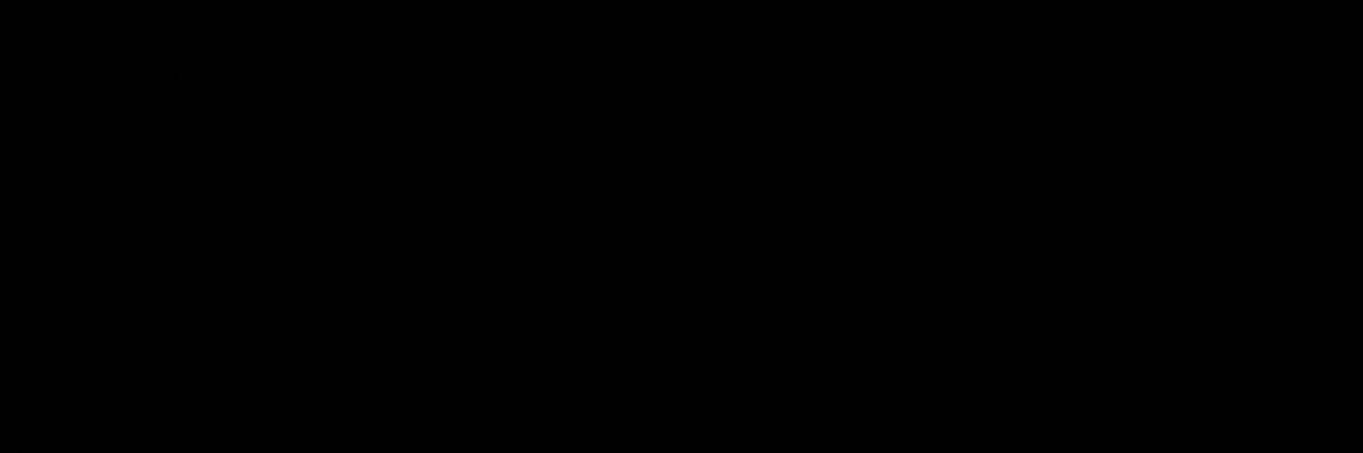 siannasser's profile banner image
