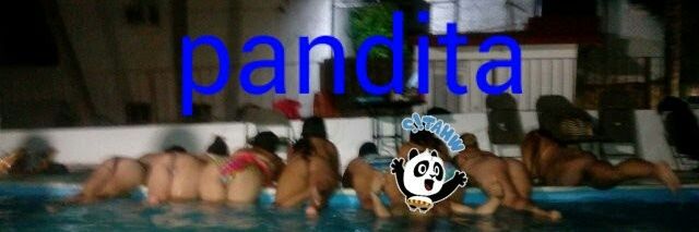 Pandita acapulco banner