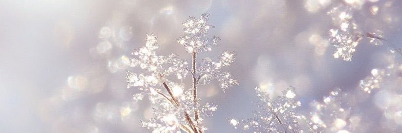 heidichan__'s profile banner image