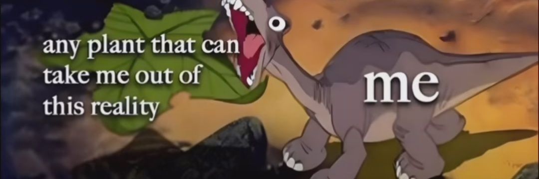 NyuKuo's profile banner image