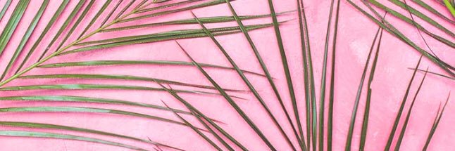 cynblm's profile banner image