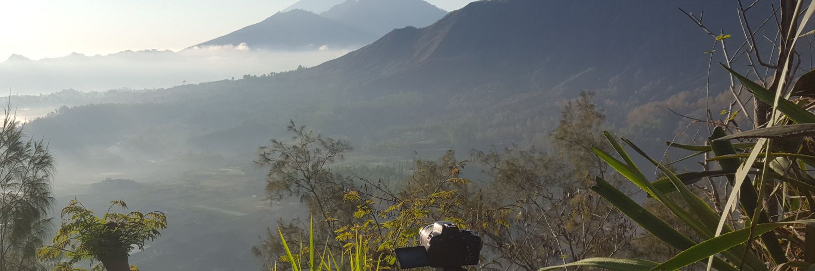 Nichölas öscar banner