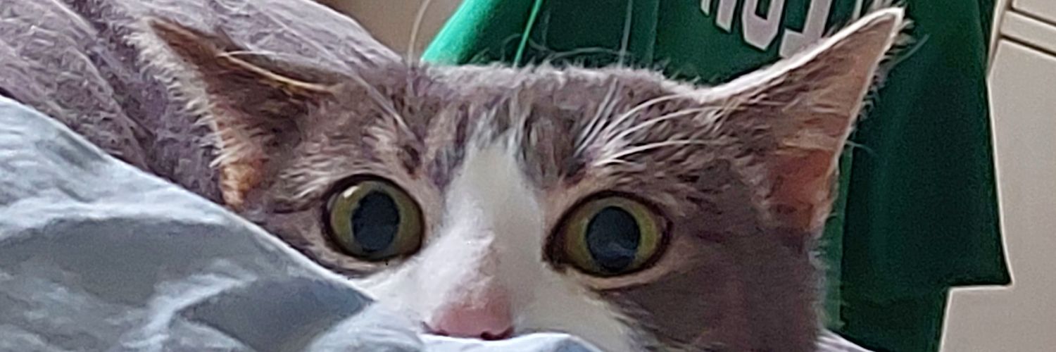 Stormser the Kadser banner