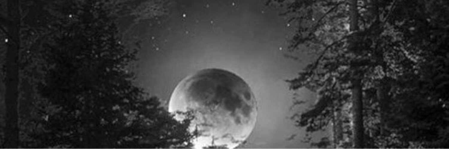 Norah_99N's profile banner image
