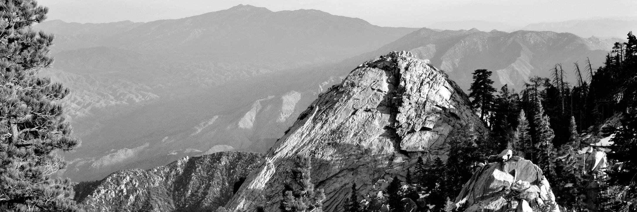 Andrew Christopher Knapp banner