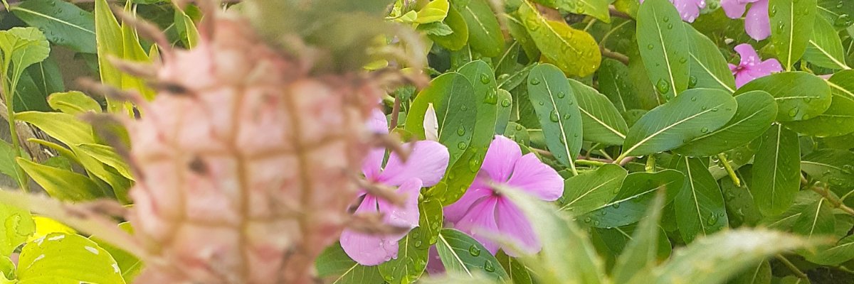 Gbrii's profile banner image
