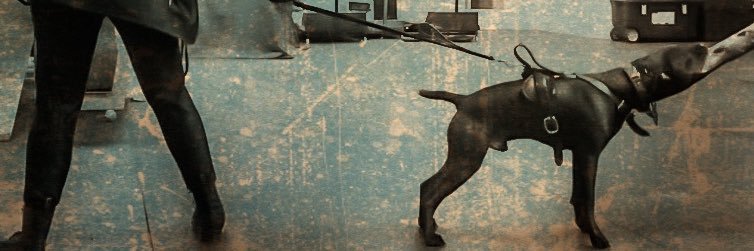 EJLiveIt's profile banner image
