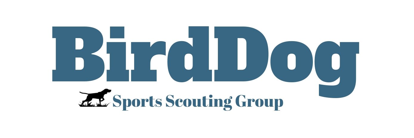 BirdDog Scouting banner