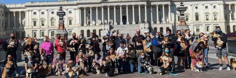 Organizer (Beddy and Rhett's human) banner